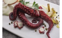 Cooked Octopus Tenderized Legs