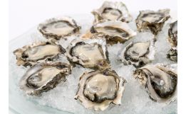 Kumamoto Oysters