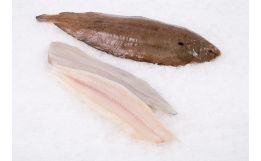 Dover Sole Whole