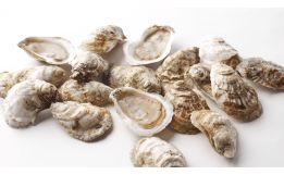 Peconic Oysters