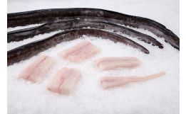 Eel Whole