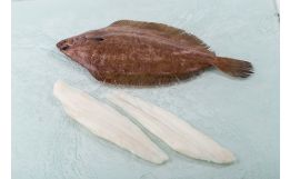 Grey Sole Fillet