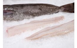 Hake Fillet