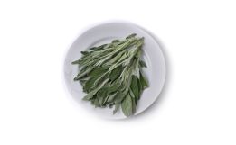 Fresh Sage