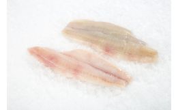 Lemon Sole Fillet