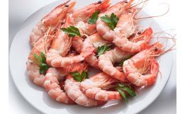 Cooked Madagascar Organic Shrimp