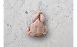 Citarella Whole Antibiotic Free Chicken