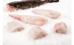 Monk Fish Fillet