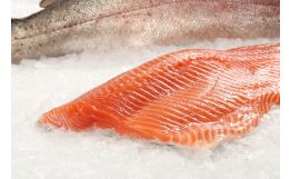 Tasmanian Trout Fillet