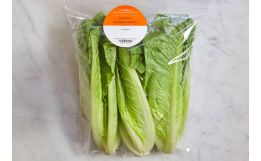 Romaine Hearts