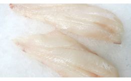 Orange Roughy Fillet