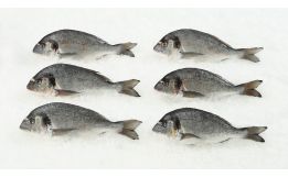 Orata Whole (Dorade)