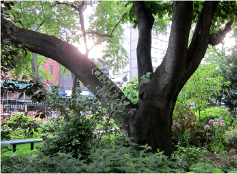 Jefferson Market Garden