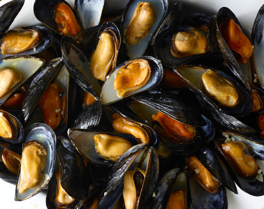 Orange mussels