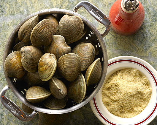 Bowl with fresh oysters Bowl with fresh oysters