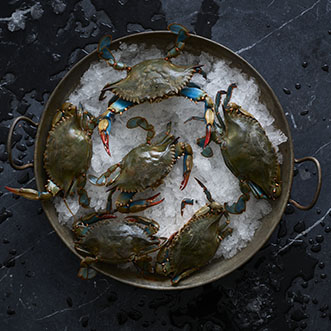 Fresh crabs on ice