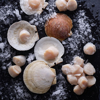 Assorted mussels and clams