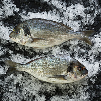 Whole fish in ice