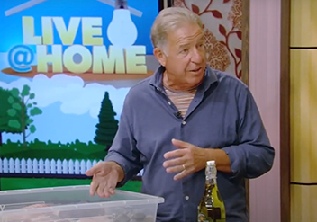 Joe Guerra on Live with Regis and Kelly