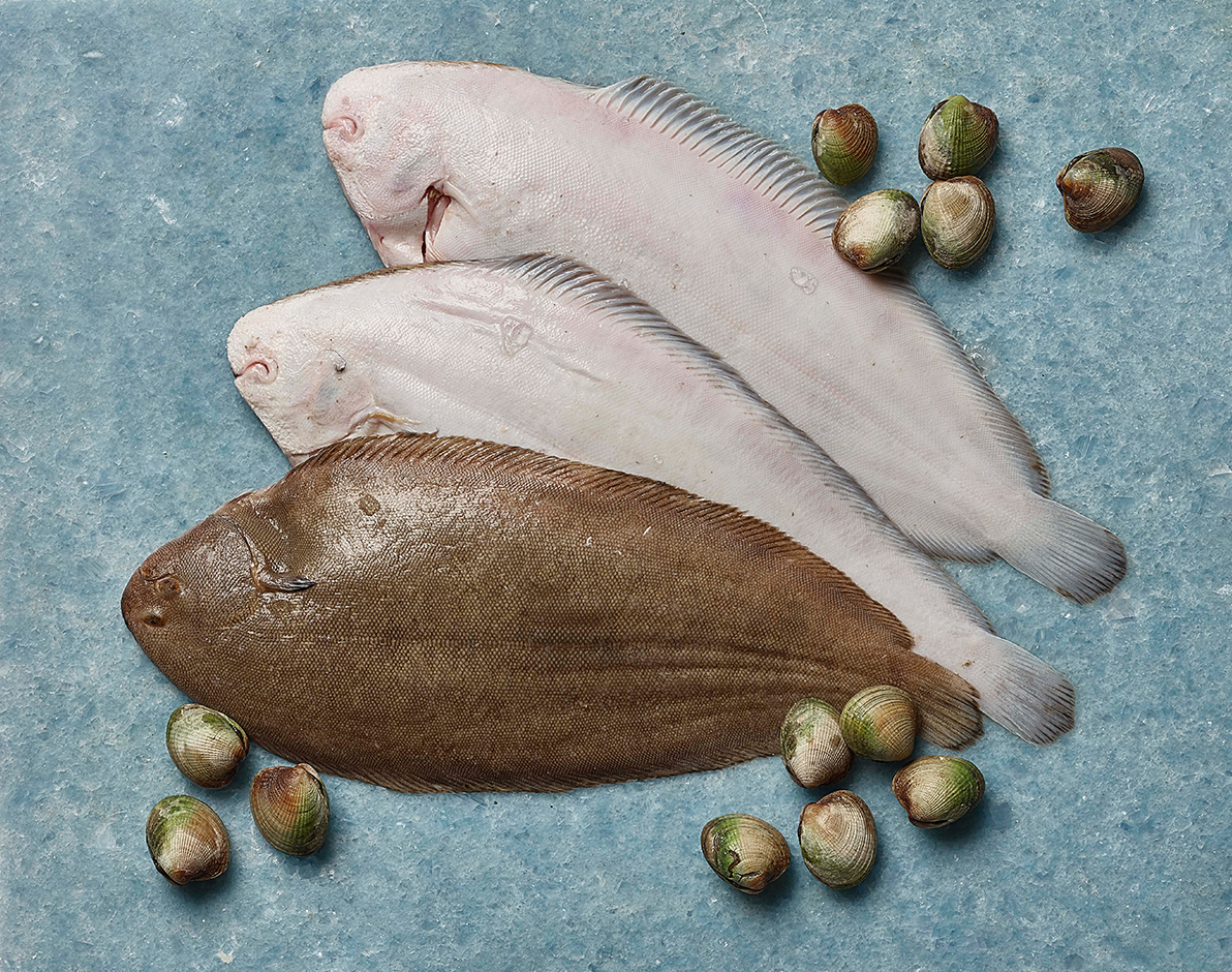Sole Fillets