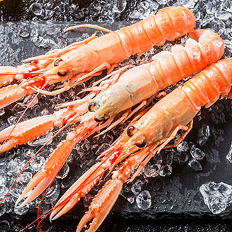 Three red langoustines